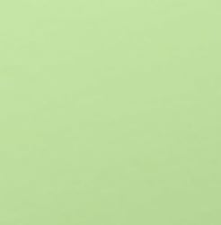 Oracal pastel key lime 631-495