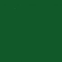 Oracal mat dark green